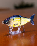 A photo of the Chart Shad by Bully Baits. 