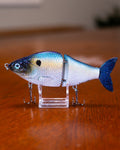 An image of the Sexy Shad by Bully Baits.