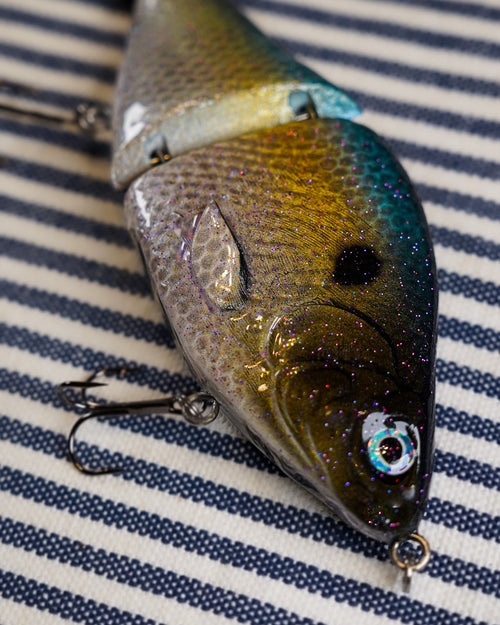 A close up image of the Sexy Shad by Bully Baits.